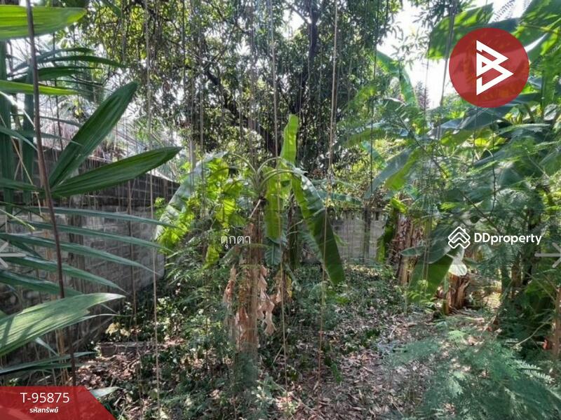 ขาย - ที่ดินวังทองหลาง กรุงเทพมหานคร, กรุงเทพ