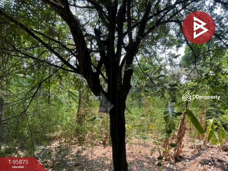 ขาย - ที่ดินวังทองหลาง กรุงเทพมหานคร, กรุงเทพ