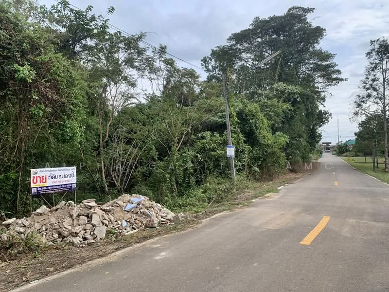 ที่ดินเปล่า L4_7_0585_G01, Trang, Wang Maprang Nua, Wang Wiset, Trang, , 200 sqm, Land For Sale, by Alpha Capital AMC, 11584845 - DDproperty.com