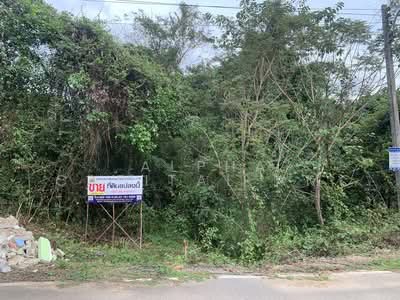 ขาย - ที่ดินเปล่า L4_7_0585_G01, ตรัง