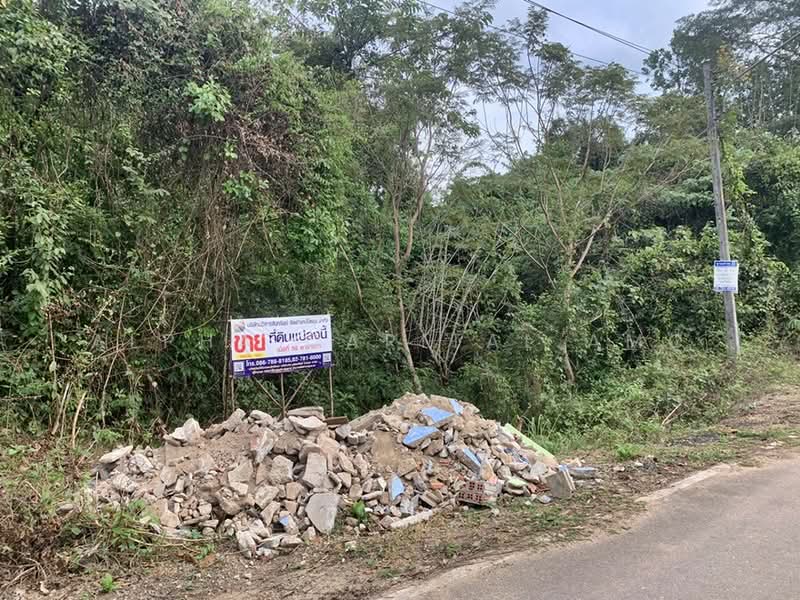 ที่ดินเปล่า L4_7_0585_G01, Trang, Wang Maprang Nua, Wang Wiset, Trang, , 200 sqm, Land For Sale, by Alpha Capital AMC, 11584845 - DDproperty.com