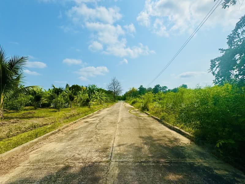 ขายที่ดินถมแล้ว ราคาถูก หมู่บ้านทองธัชการ นครปฐม พื้นที่ 1 ไร่ ที่สวยติดสวนผลไม้, นครปฐม, พะเนียด, นครชัยศรี, นครปฐม, 1,600 ตร.ม., ที่ดิน ขาย, โดย เพชรรัตน์ มณีนุษย์, 11585299 - DDproperty.com
