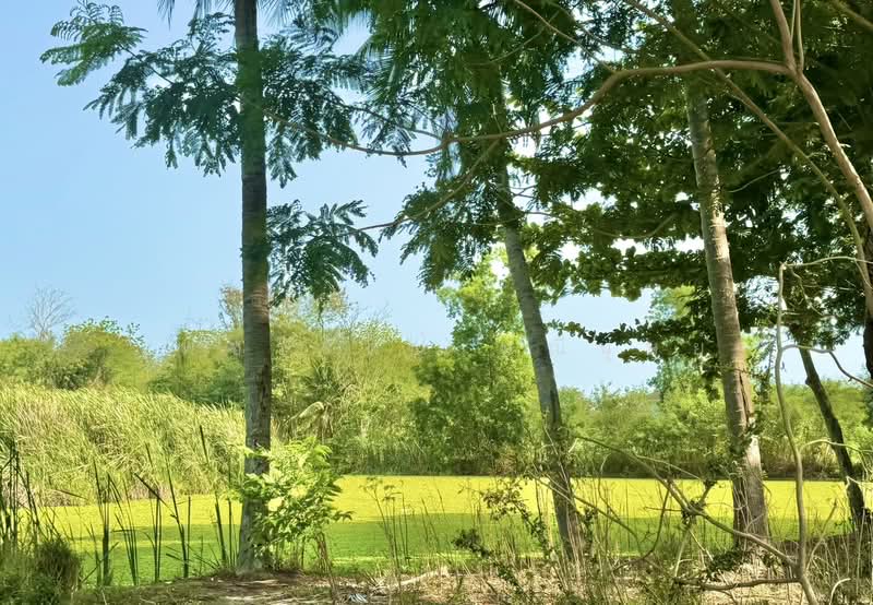 Land for Sale (Filled and Ready for Construction) at an Affordable Price Thong Tatchakan Village, Nakhon Pathom, Pha Niat, Nakhon Chai Sri, Nakhon Pathom, , 1,600 sqm, Land For Sale, by เพชรรัตน์ มณีนุษย์, 11585299 - DDproperty.com