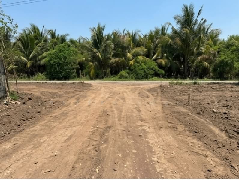 Land for Sale (Filled and Ready for Construction) at an Affordable Price Thong Tatchakan Village, Nakhon Pathom, Pha Niat, Nakhon Chai Sri, Nakhon Pathom, , 1,600 sqm, Land For Sale, by เพชรรัตน์ มณีนุษย์, 11585299 - DDproperty.com