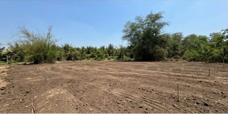 Land for Sale (Filled and Ready for Construction) at an Affordable Price Thong Tatchakan Village, Nakhon Pathom, Pha Niat, Nakhon Chai Sri, Nakhon Pathom, , 1,600 sqm, Land For Sale, by เพชรรัตน์ มณีนุษย์, 11585299 - DDproperty.com