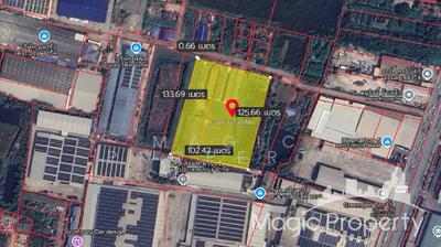 ขาย - ที่ดิน พื้นที่สีม่วง 8-1-15 ไร่ ซอยคลองมะเดื่อ 15 อำเภอกระทุ่มแบน จังหวัดสมุทรสาคร, สมุทรสาคร