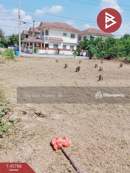 ขาย - ที่ดินปากเกร็ด นนทบุรี, นนทบุรี