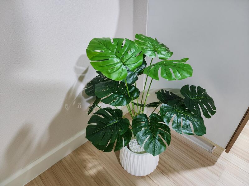 The Parkland Srinakarin : เดอะ พาร์คแลนด์ ศรีนครินทร์, สมุทรปราการ, 577 ตำบล สำโรงเหนือ, สำโรงเหนือ, เมืองสมุทรปราการ, สมุทรปราการ, 40 ตร.ม., คอนโด ขาย, โดย สุภิญญา จำปา, 11586898 - DDproperty.com