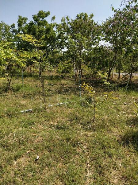 ขาย - อ.กำแพงแสน นครปฐม, นครปฐม