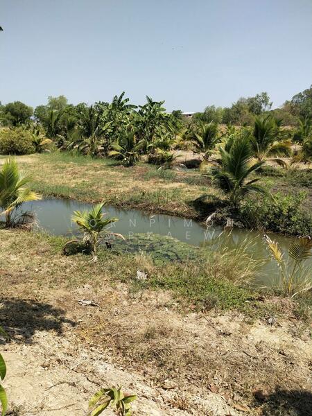 ขาย - อ.กำแพงแสน นครปฐม, นครปฐม