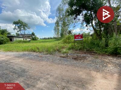 ขาย - ที่ดินเชียงยืน มหาสารคาม, มหาสารคาม