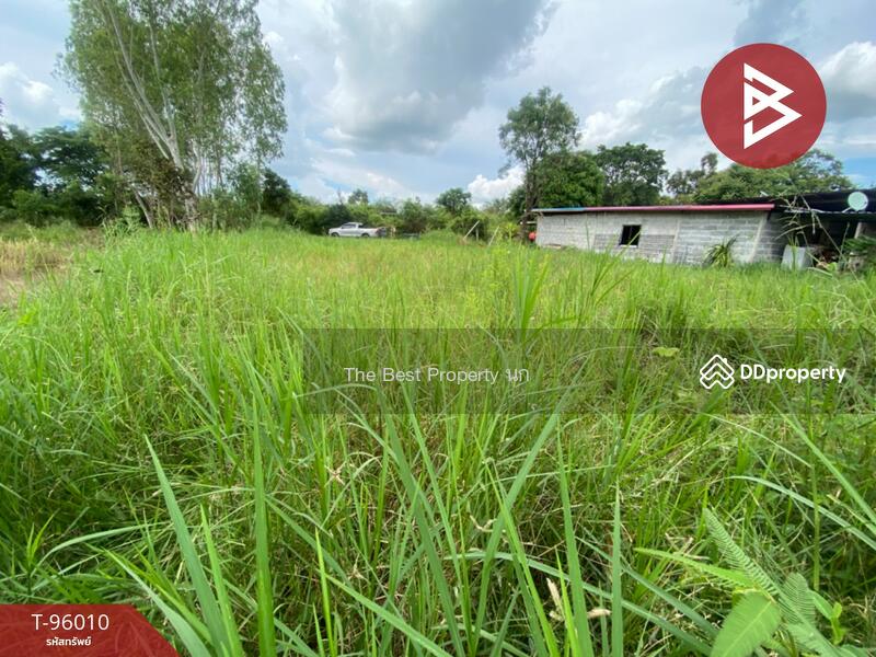 ขาย - ที่ดินเชียงยืน มหาสารคาม, มหาสารคาม