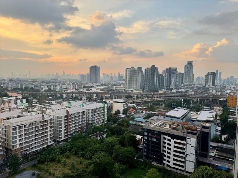 Rhythm Sukhumvit 50, Bangkok, 8 Sukhumvit 50, Sukhumvit Road, Phra Kanong, Khlong Toei, Bangkok, 1 Bedroom, 35 sqm, Condo For Rent, by Thitiphan Prasopkiatpoca, 11588002 - DDproperty.com
