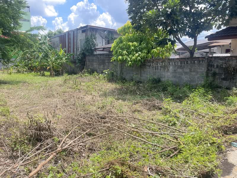 41000, Udon Thani, Mak Khaeng, Muang Udon Thani, Udon Thani, 2 Bedrooms, 80 sqm, Single Detached House For Rent, by บิว นราธิป, 11588794 - DDproperty.com