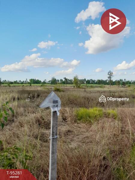 ขาย - ที่ดินเพ็ญ อุดรธานี, อุดรธานี