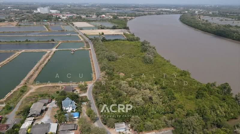 Land for sale on the Bang Pakong River, 18 rai., Chachoengsao, Lat Khwang, Ban Pho, Chachoengsao, , 29,196 sqm, Land For Sale, by Acute Realty Partner Co.,Ltd., 11590570 - DDproperty.com