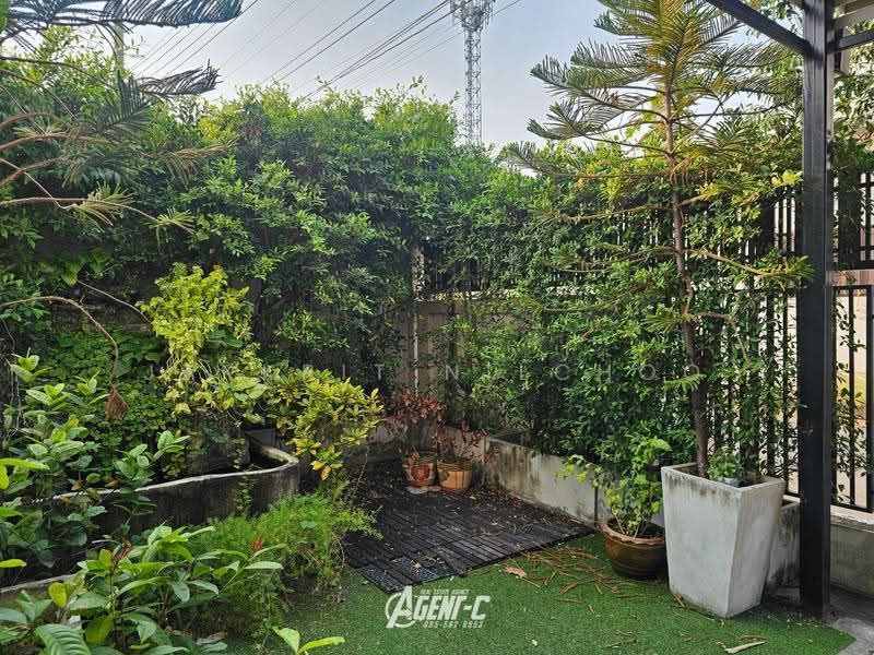 บ้านแฝด 3ชั้น โชคชัย 4 ลาดพร้าว 71, กรุงเทพ, ลาดพร้าว, กรุงเทพ, 320 ตร.ม., ทาวน์เฮ้าส์ ขาย, โดย Jakkrit Nilchoo, 11592437 - DDproperty.com