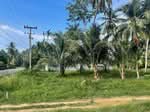 ที่ดิน 3 ไร่ จังหวัดประจวบคีรีขันธ์, ประจวบคีรีขันธ์