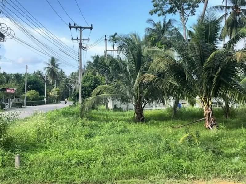 ที่ดิน 3 ไร่ จังหวัดประจวบคีรีขันธ์, Prachuap Khiri Khan, Thongchai, Bang Saphan, Prachuap Khiri Khan, , 4,800 sqm, Land For Sale, by Amwika Karoonsombat, 11593277 - DDproperty.com