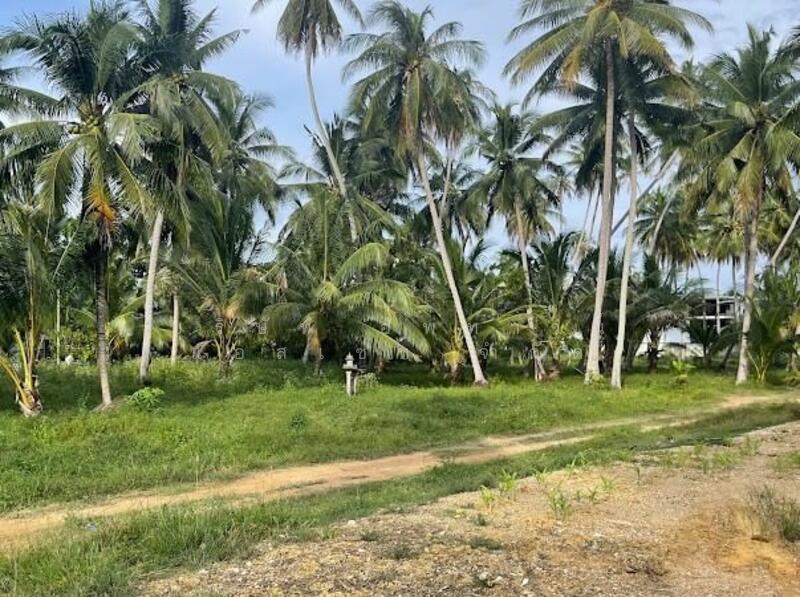 ที่ดิน 3 ไร่ จังหวัดประจวบคีรีขันธ์, ประจวบคีรีขันธ์, ธงชัย, บางสะพาน, ประจวบคีรีขันธ์, 4,800 ตร.ม., ที่ดิน ขาย, โดย Amwika Karoonsombat, 11593277 - DDproperty.com