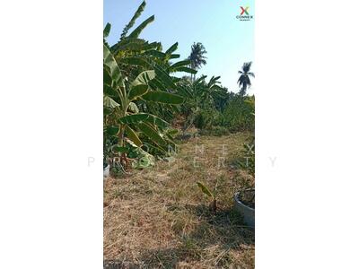 ขาย - ที่ดินบางบอน 436 ตารางวา 3 ซอย แย้มผกา 2 Bang Bon land 436 square wah 3 Soi Yaem Phaka 2, กรุงเทพ