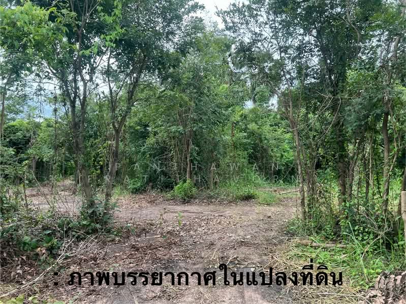 ขาย - ขายที่ดินวิวภูเขา 6 ไร่ 2 งาน อำเภออู่ทอง, สุพรรณบุรี