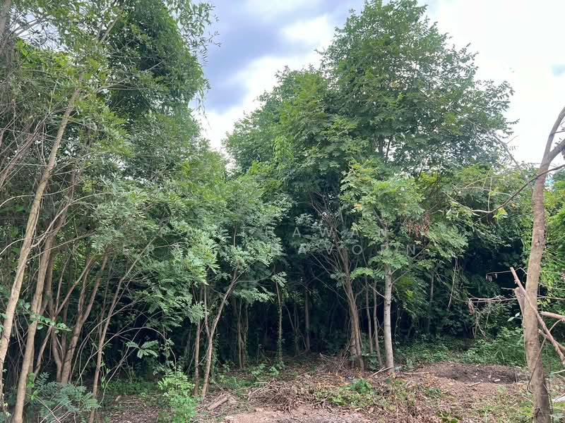 ขายที่ดินวิวภูเขา 6 ไร่ 2 งาน อำเภออู่ทอง, Suphan Buri, Don Ka, U Thong, Suphan Buri, , 10,504 sqm, Land For Sale, by Panthawan Keeratithavornanan, 11597310 - DDproperty.com