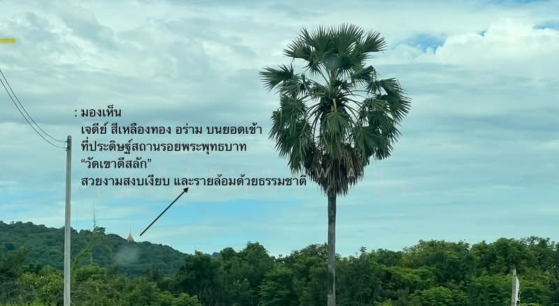 ขาย - ขายที่ดินวิวภูเขา 6 ไร่ 2 งาน อำเภออู่ทอง, สุพรรณบุรี
