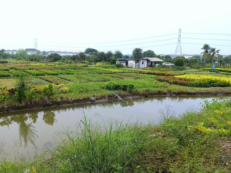 , Nonthaburi, บางม่วง-บางคูลัด, Sala Klang, Bang Kruai, Nonthaburi, , 21,704 sqm, Land For Sale, by WISIT SRIPRASERT, 11598912 - DDproperty.com
