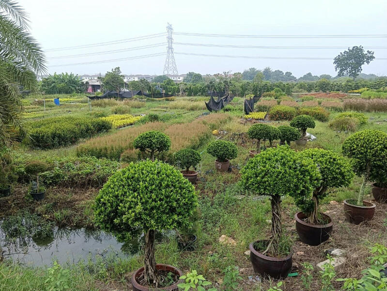 , Nonthaburi, บางม่วง-บางคูลัด, Sala Klang, Bang Kruai, Nonthaburi, , 21,704 sqm, Land For Sale, by WISIT SRIPRASERT, 11598912 - DDproperty.com