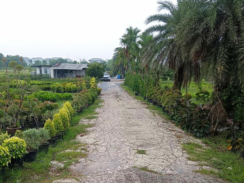 , Nonthaburi, บางม่วง-บางคูลัด, Sala Klang, Bang Kruai, Nonthaburi, , 21,704 sqm, Land For Sale, by WISIT SRIPRASERT, 11598912 - DDproperty.com