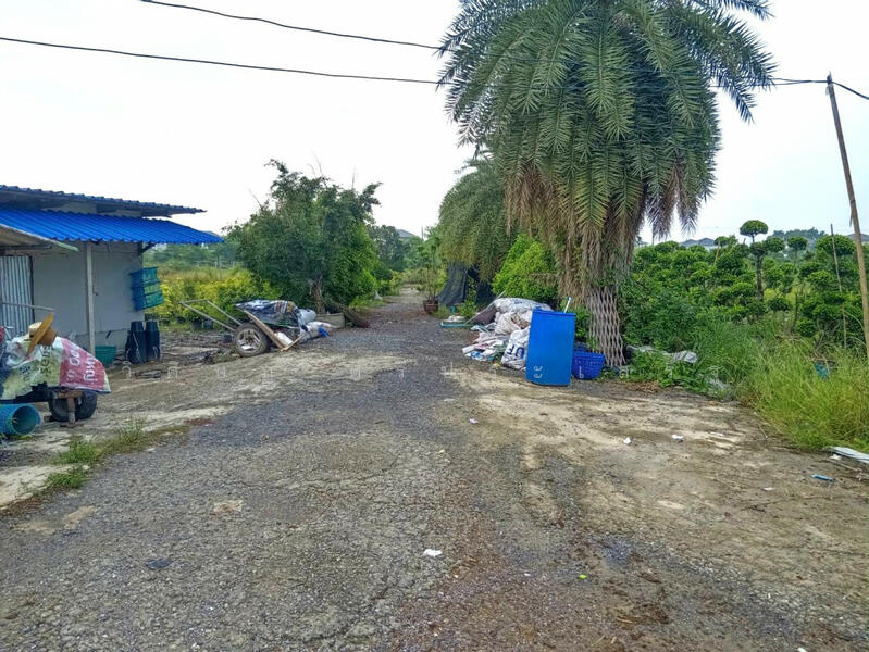 , นนทบุรี, บางม่วง-บางคูลัด, ศาลากลาง, บางกรวย, นนทบุรี, 21,704 ตร.ม., Land ขาย, โดย WISIT SRIPRASERT, 11598912 - DDproperty.com