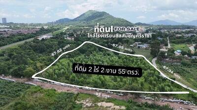 ขาย - ที่ดินศรีราขา, ชลบุรี