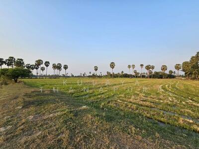 ขาย - LSS-615 ต.บ้านลาด อ.บ้านลาด จ.เพชรบุรี : Ban Lat Subdistrict, Ban Lat District, Phetchaburi Province, เพชรบุรี