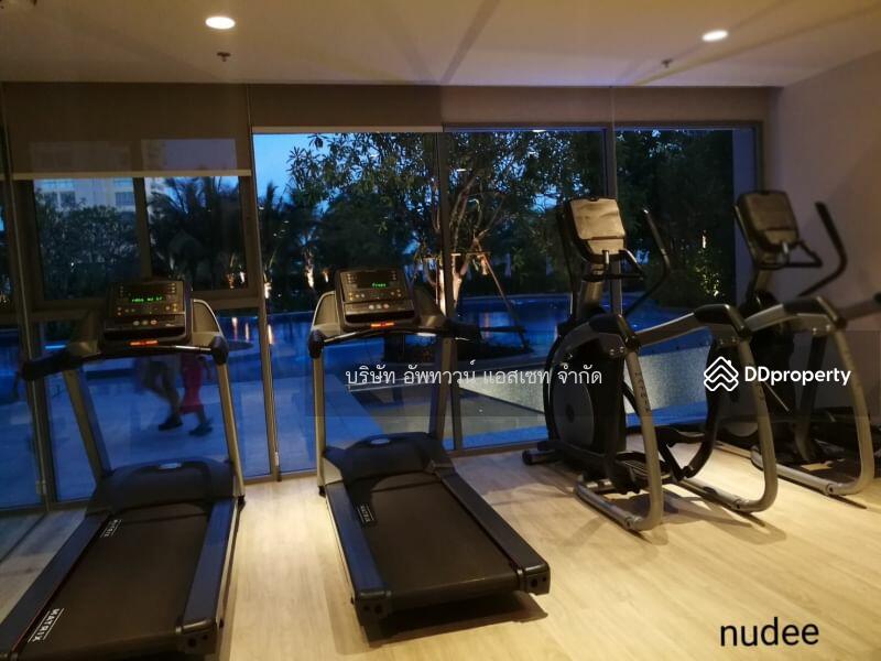 ให้เช่า - BLU Diamond Cha-am-Hua Hin : บลู ไดมอนด์ ชะอำ-หัวหิน, เพชรบุรี