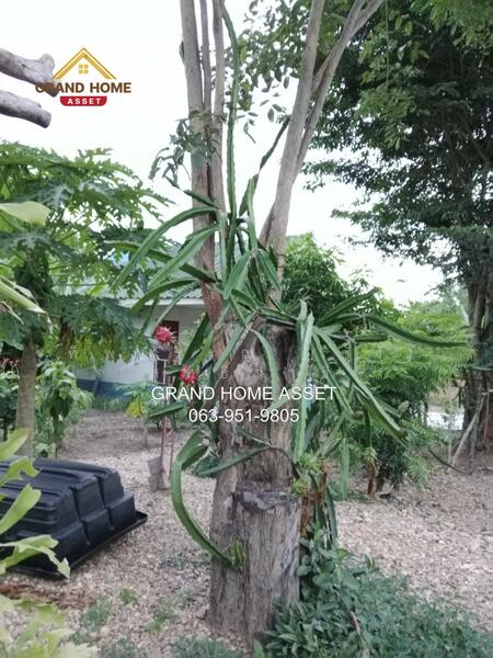 ขาย - 71260, กาญจนบุรี