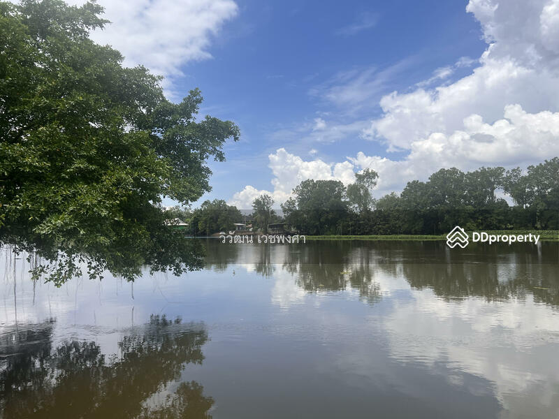 ขาย - วัดทรงคนอง, นครปฐม