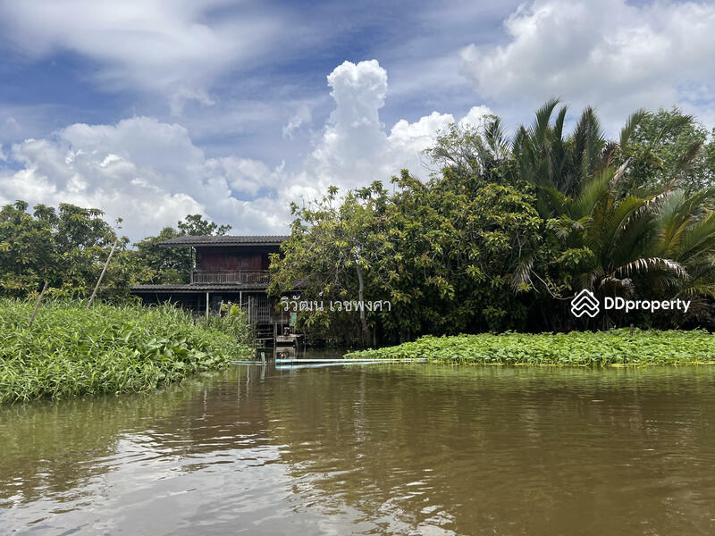 ขาย - วัดทรงคนอง, นครปฐม