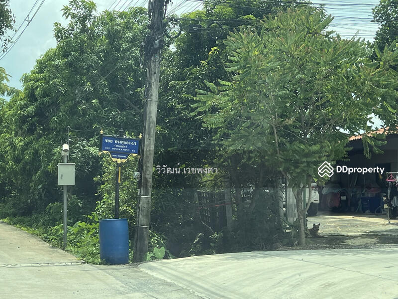 ขาย - วัดทรงคนอง, นครปฐม