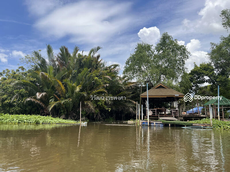 ขาย - วัดทรงคนอง, นครปฐม