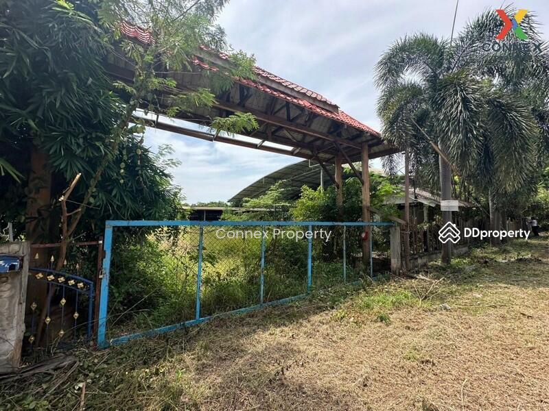 For Sale - บ้านพร้อมกิจการ หนองคาย House with business, Nong Khai, Nong Khai