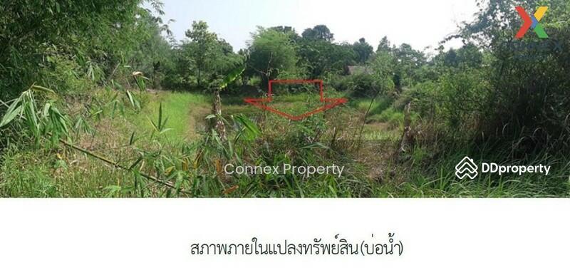 For Sale - อาคารสำนักงาน สกลนคร Sakon Nakhon office building, Sakon Nakhon