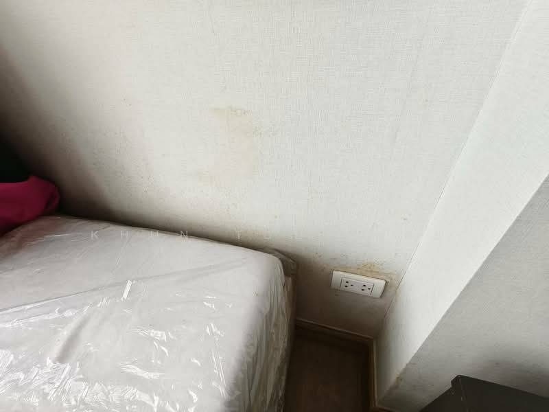 The Reserve Kasemsan 3, Bangkok, 8 Kasemsan Road, Wang Mai, Pathum Wan, Bangkok, Studio, 30 sqm, Condo For Rent, by Khun Toey เตย, 11604773 - DDproperty.com