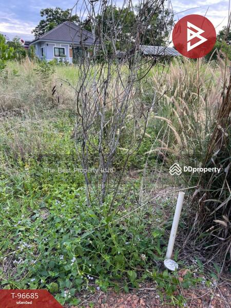 ขาย - ที่ดินสาริกา นครนายก, นครนายก