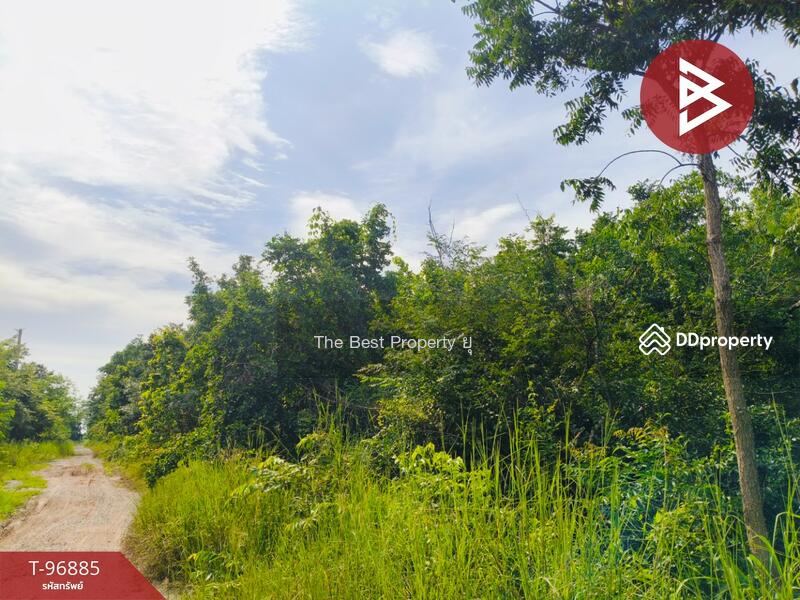 ขาย - ที่ดินปักธงชัย นครราชสีมา, นครราชสีมา