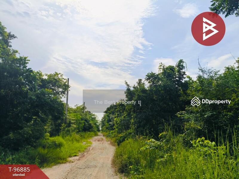 ขาย - ที่ดินปักธงชัย นครราชสีมา, นครราชสีมา