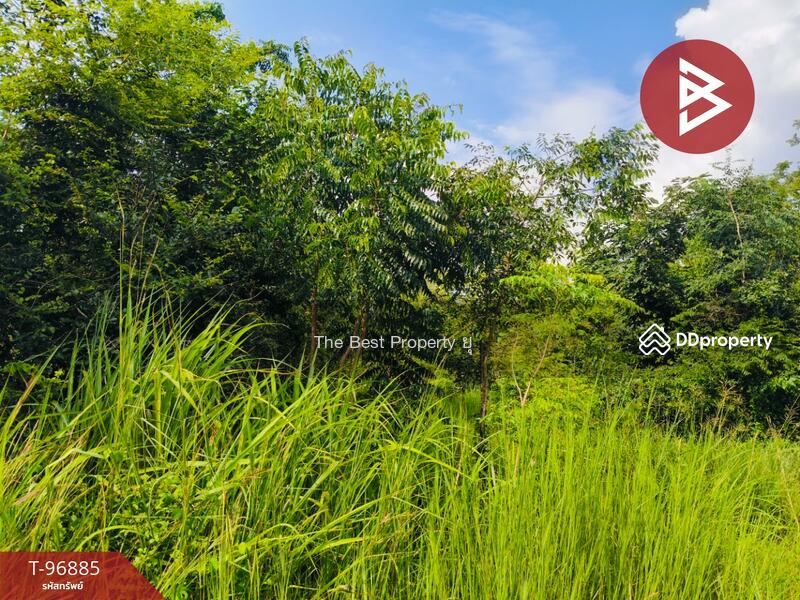 ขาย - ที่ดินปักธงชัย นครราชสีมา, นครราชสีมา