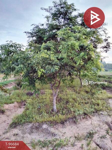 ขาย - ที่ดินเขื่องใน อุบลราชธานี, อุบลราชธานี