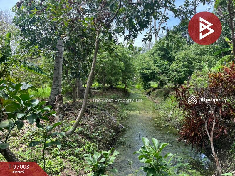 ขาย - ที่ดินอัมพวา สมุทรสงคราม, สมุทรสงคราม