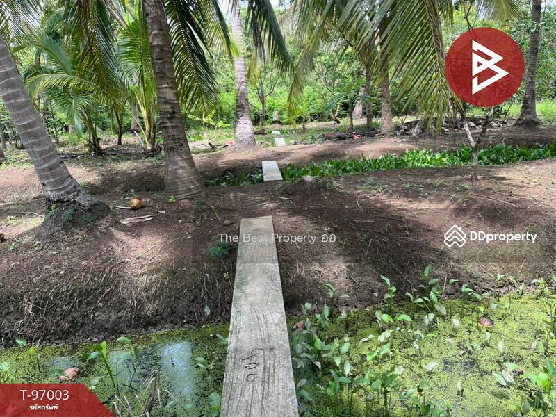 ขาย - ที่ดินอัมพวา สมุทรสงคราม, สมุทรสงคราม